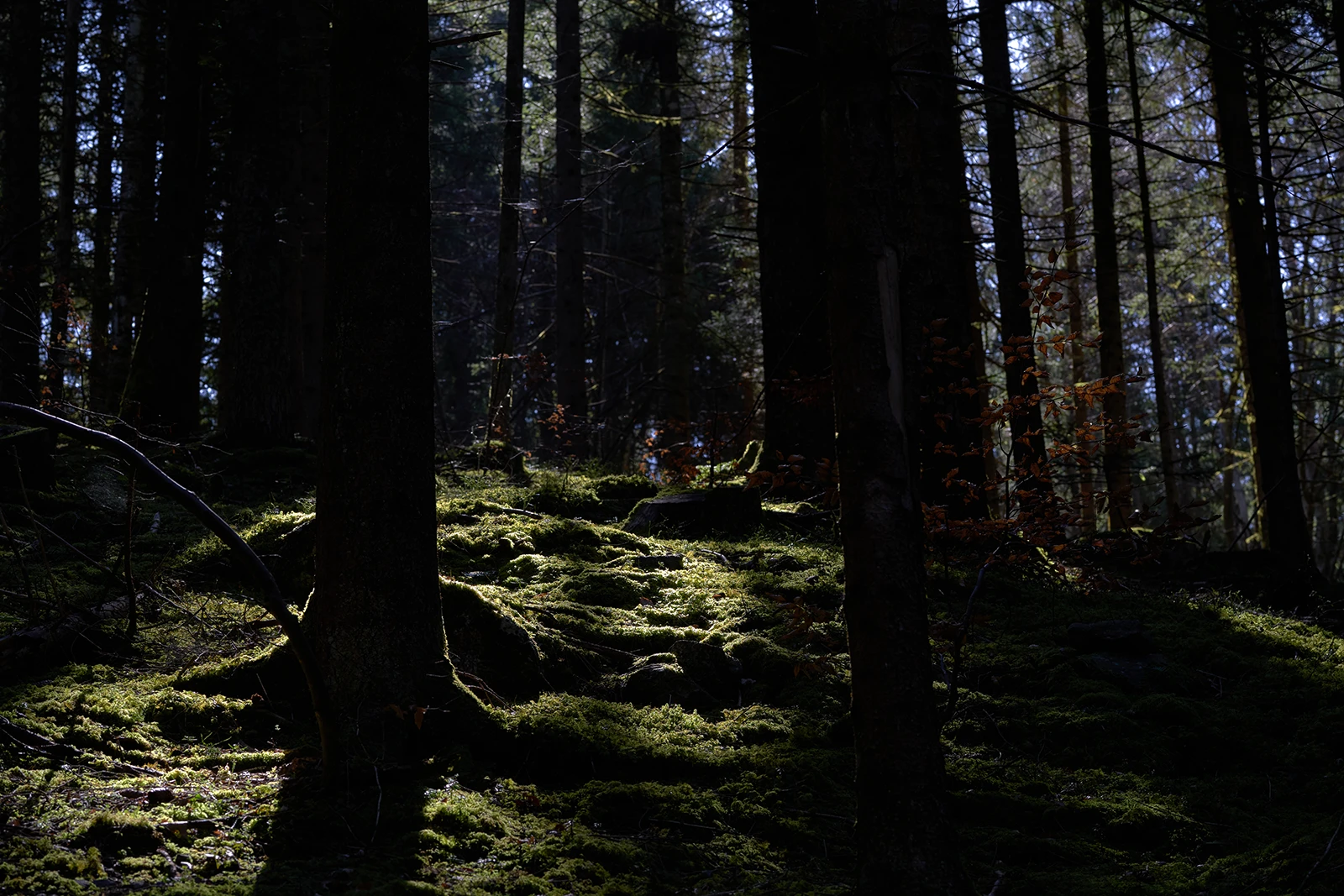 pose longue de la cascade l'oursière belledonne isère EZProduction