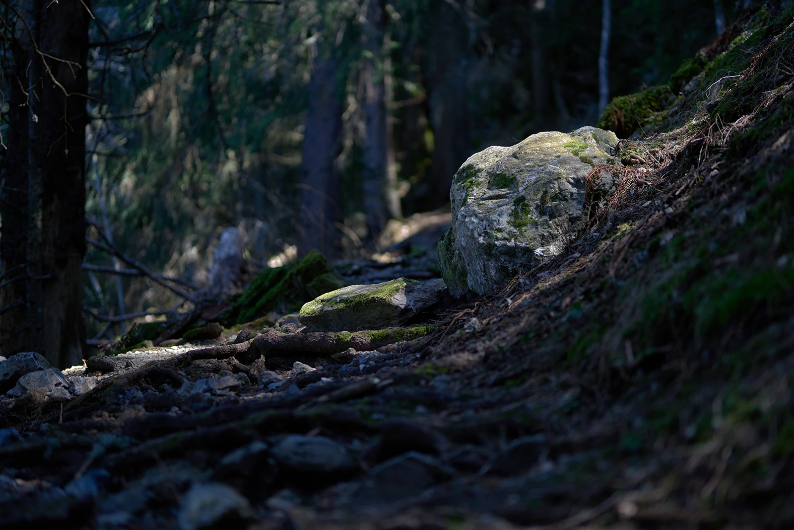 Chemin de randonnée belledonne isère Académie d'EZ