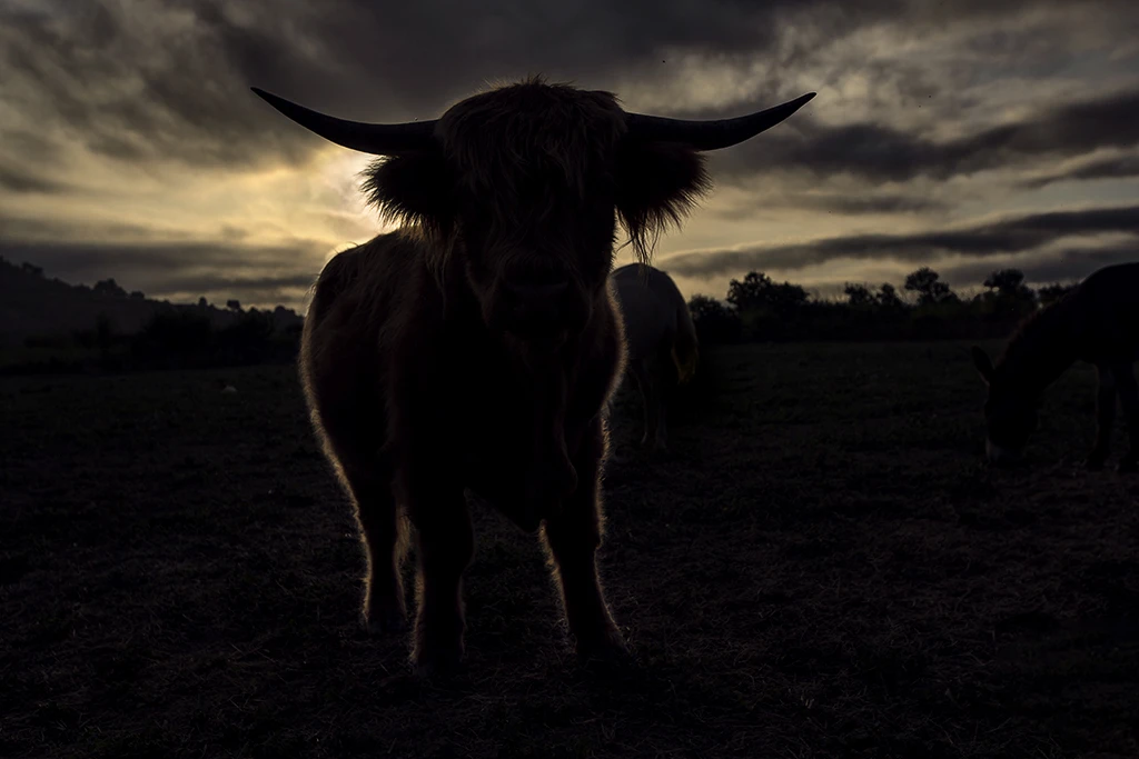La force tapis dans l'ombre EZProduction l'Académie d'EZ